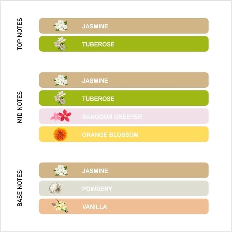 Flower Jasmine Bloom - View 3