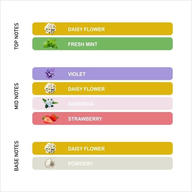 Flower Morning Daisy - View 3