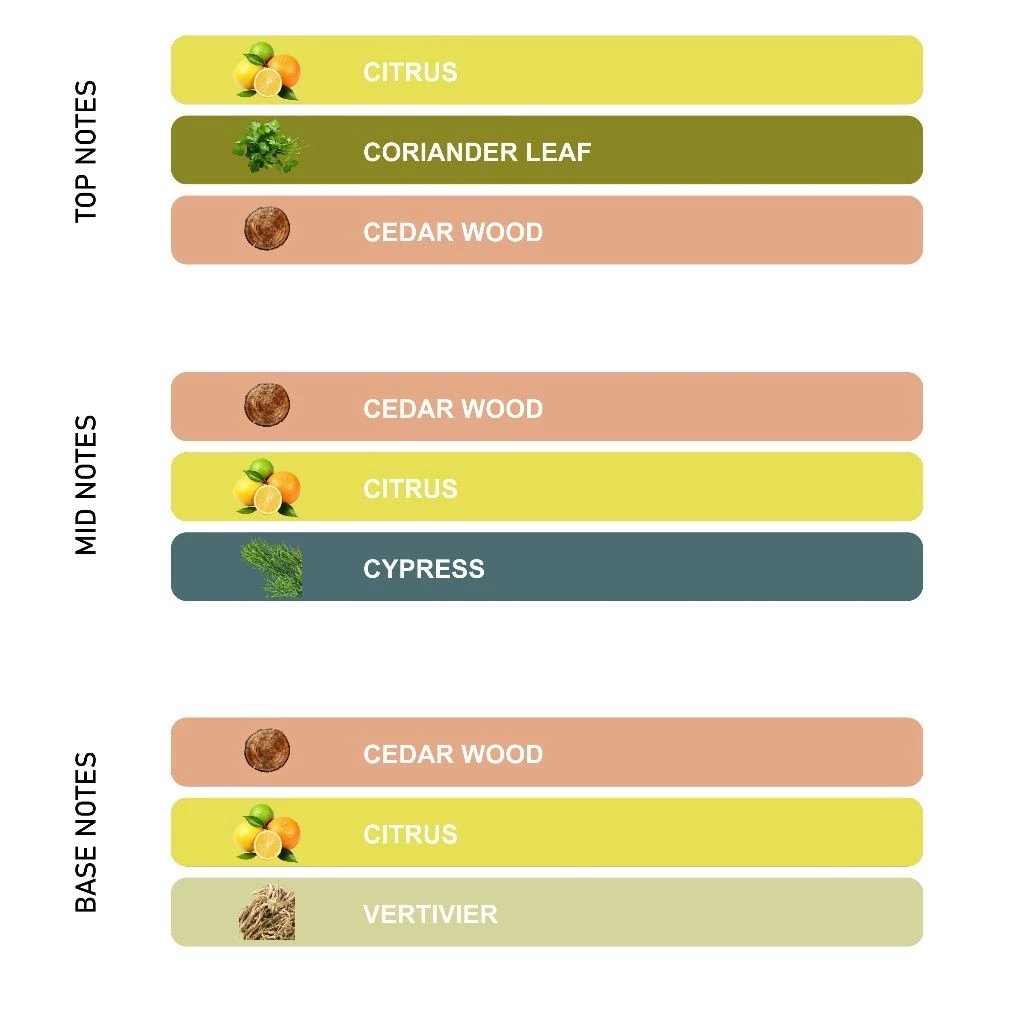 Manly Old Money - View 3