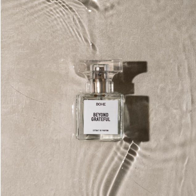 Beyond Grateful - View 1