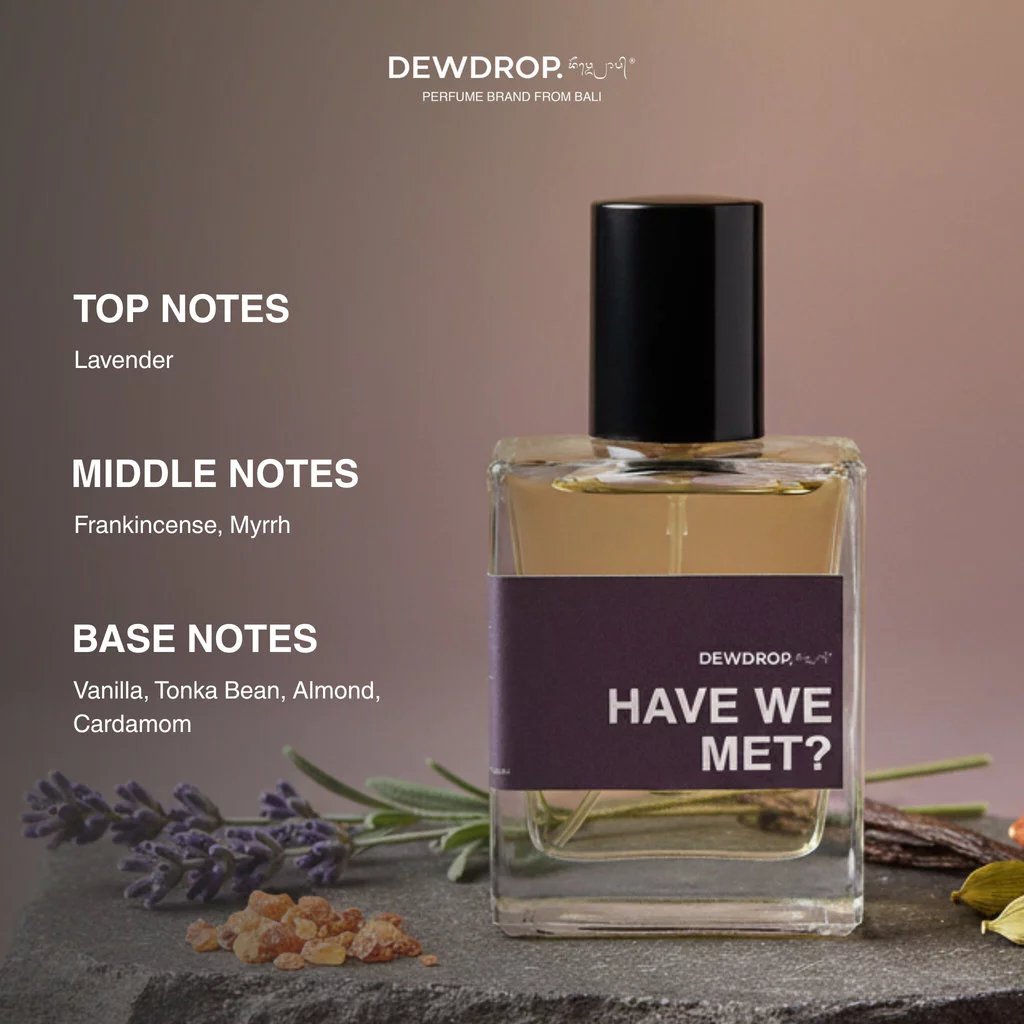 Have We Met? - View 3