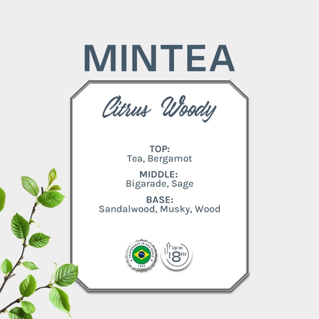 Mintea - View 3
