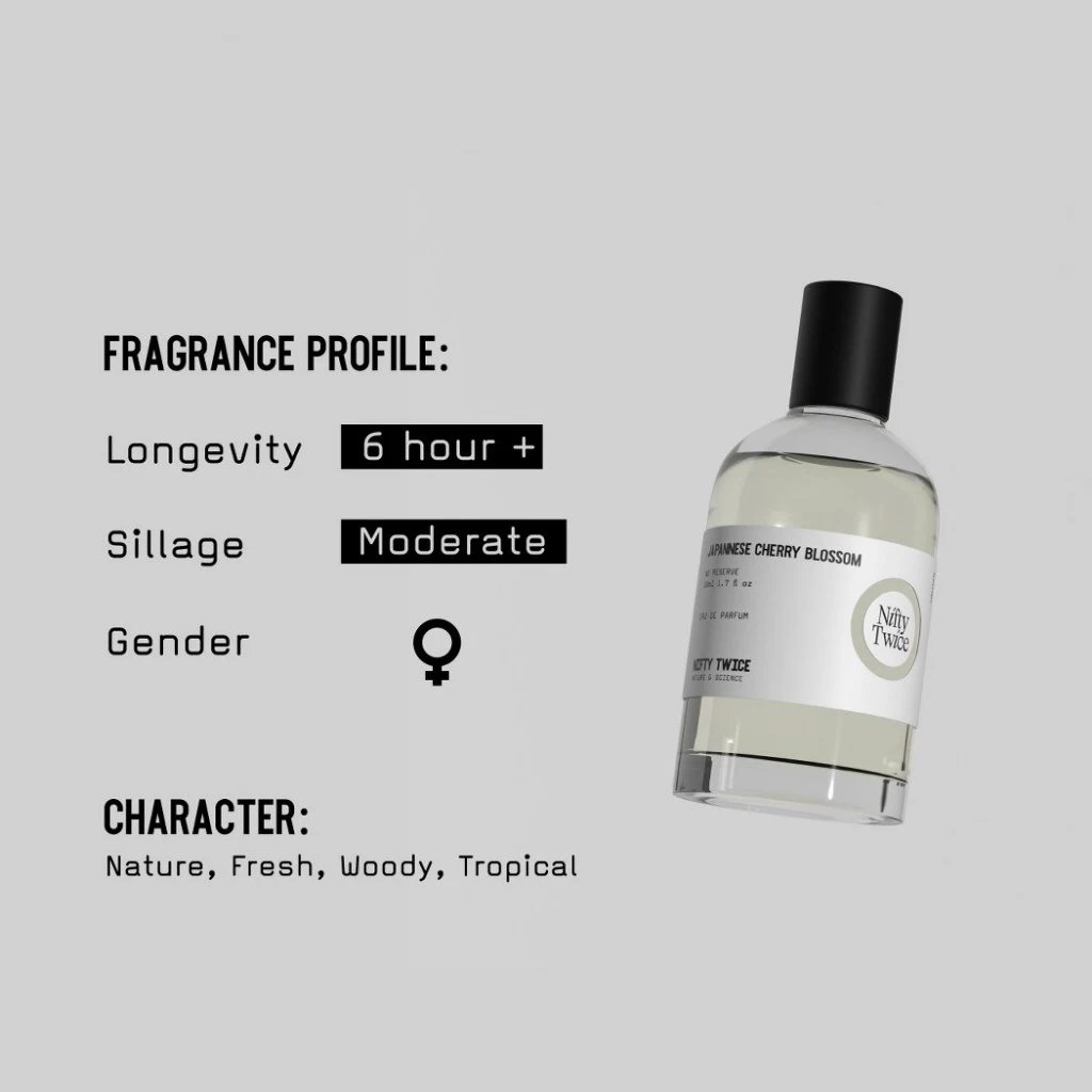 Japannese Cherry Blossom - View 2