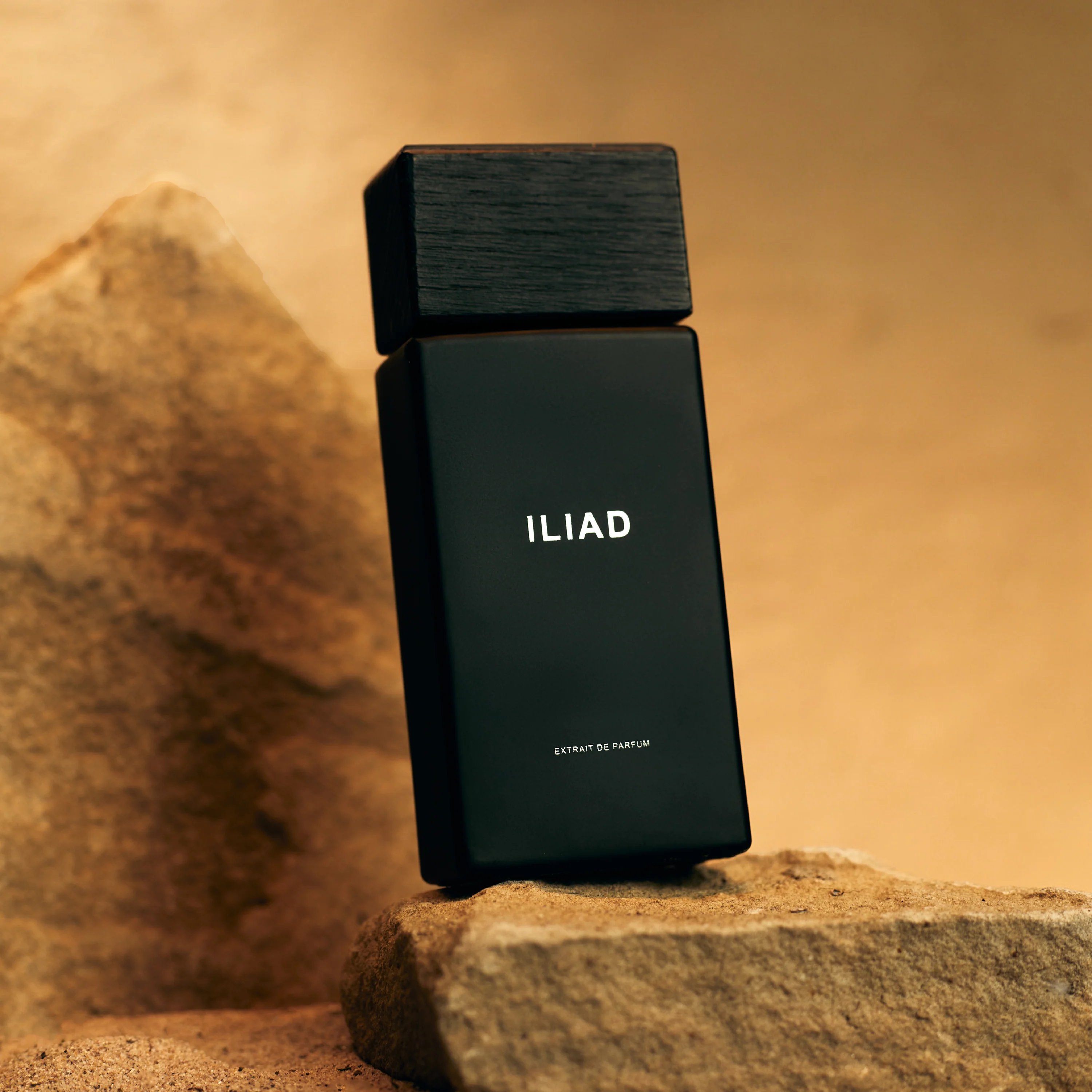 ILIAD - View 2