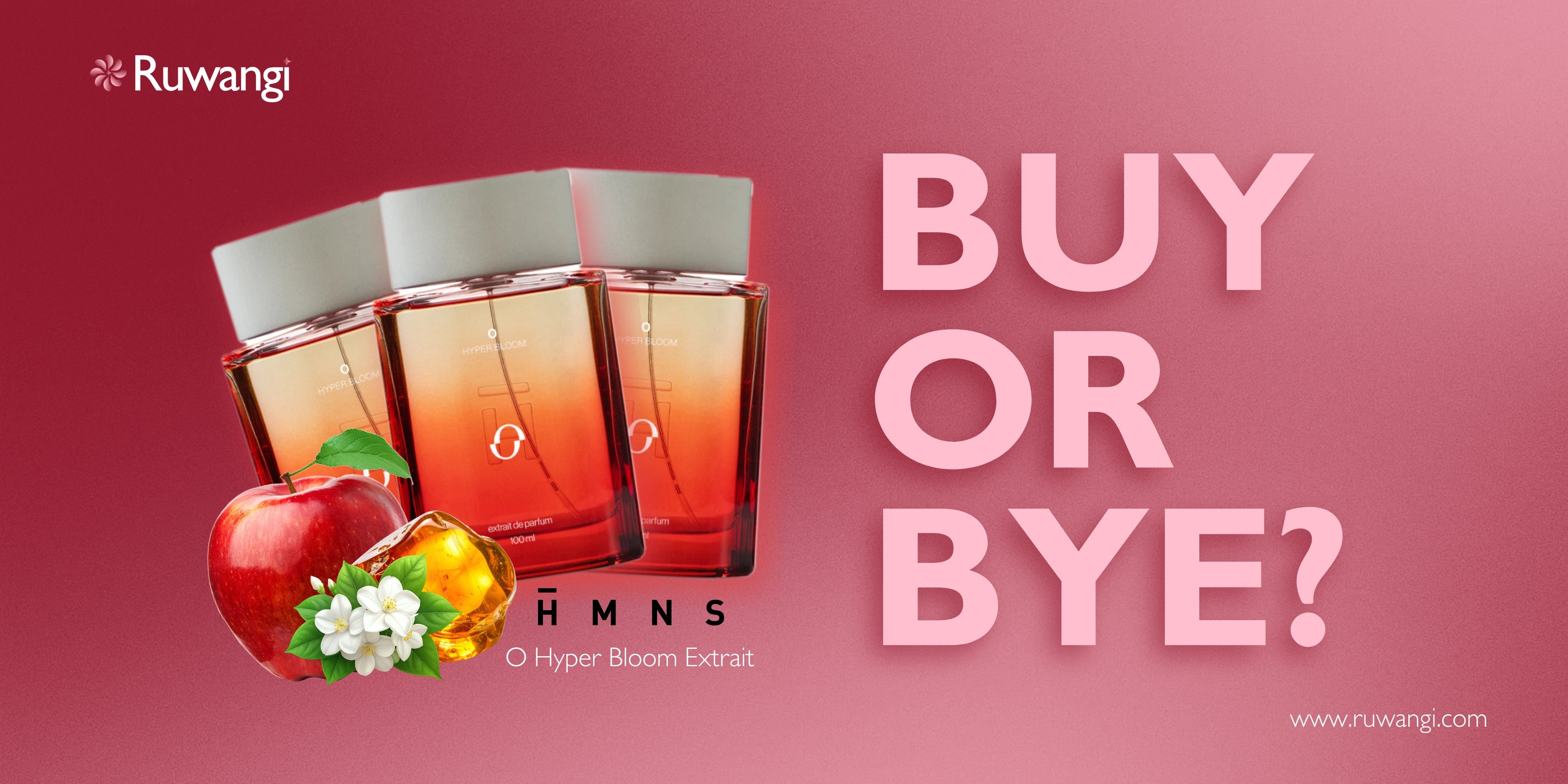 Website Banner 2